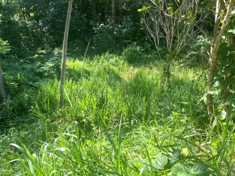 0 bed Lot/Land For Sale in ,  - 1